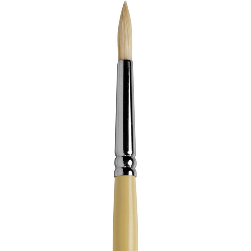 Series B Hog Round Brush