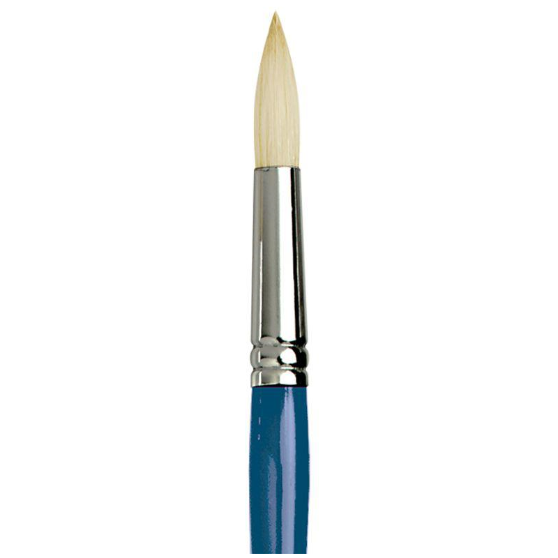 Series C Hog Round Brush
